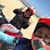 Porcha Marie's profile image