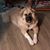 Terri Hurson Williams's profile image