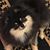 Lanette Marie Scherr's profile image