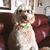 Tammie Ellis's profile image