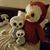Owlet Traveller's profile image