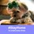 Elsie Slocomb Wilson's profile image