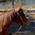 Melanie Beiser's profile image
