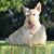 Wally Galbraith's profile image
