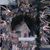 Denise Pittenger's profile image