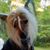 Cherry Hamilton's profile image