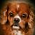 Nancy Blakely Spencer's profile image
