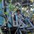 Kyaw Soewin's profile image