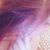 Amy Franklin's profile image
