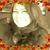 June Dutro's profile image