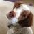 Barbara Kruglick Sucherman's profile image