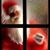 Lucia Pereira's profile image