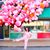 Abbey Eilermann's profile image