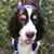 Anita H Greenbaum's profile image