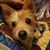 Melissa Brake's profile image