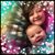 Destiny Sterner's profile image