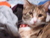 Zack H.'s profile image