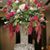 Emrana Akter's profile image