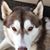 Kimberly Fuentes's profile image