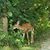 Judy Gill's profile image