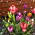 Terri R Standley's profile image