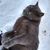 Joseph Charvet's profile image