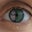 Mary Bauer's profile image