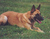 Julie B.'s profile image