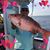 Mike D Mathews's profile image