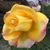 CV Achiles's profile image