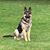 Melanie Mault's profile image