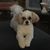 Liz Cooper Parker's profile image