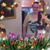 Linda Tollefson's profile image