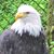 Michael L. McFadden's profile image