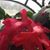 Debra Lloyd's profile image