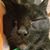 Julie Peterson's profile image