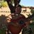 Rolando Rascon's profile image