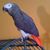Carolyn Graye's profile image