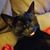 Ashley Caldwell's profile image