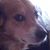 Teresita Miro's profile image