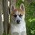 Teresa Viaene Getman's profile image