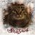 Sandy Driste MacDonald's profile image