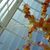 Sarah Riniker's profile image