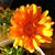 Daughn Sterling Wilmot's profile image