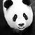 Ann Buchheit's profile image