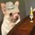 Eddie Valencia's profile image