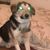Mike Notestine's profile image