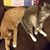 Natalye B Wilson's profile image
