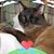 Jonathan Corby's profile image