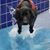 Denice Fisher Bryan Crandall's profile image